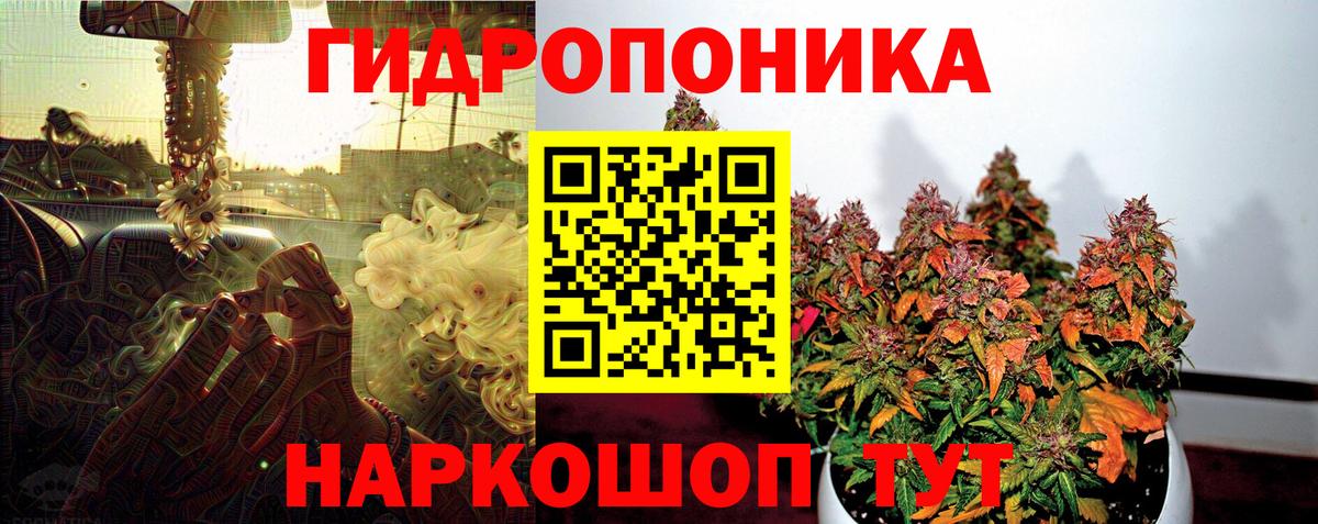 Бошки марихуана сатива Донской
